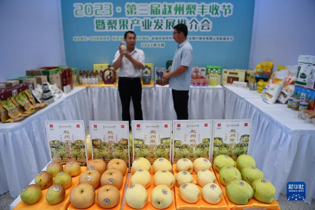 腾龙娱乐中心